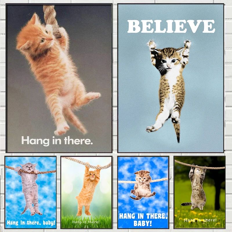 Hang In There Baby Cute Cat Yo - огляд і ціна Baby Food Oil