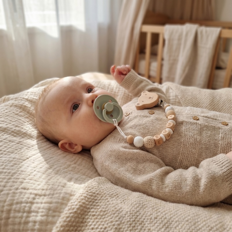 Personalized Pacifier Clip Cus - огляд і ціна Baby Food Name